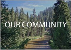 Garden Valley Real Estate, Boise County Idaho, Mountain Living