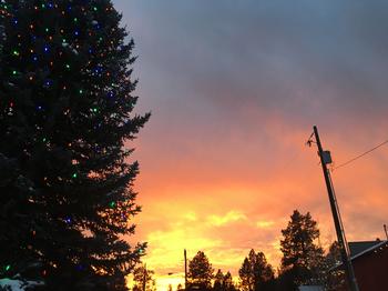 Crouch Tree Lighting at Sunset